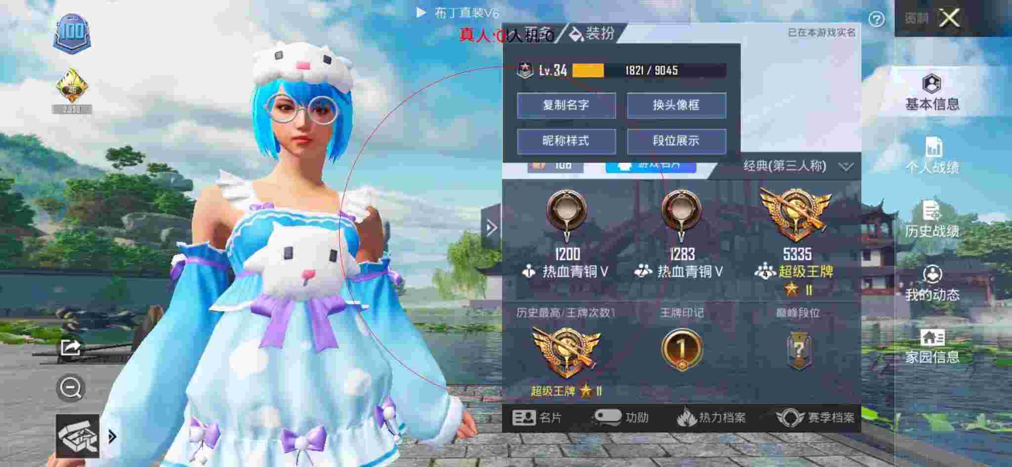 和平精英布丁直装透视 - 竹叶裙和平精英辅助软件辅助预览图